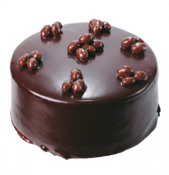 Çikolatalı Yaş Pasta 6-9 Kişilik Butik Lezzet Serisi pasta